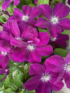 Foto van Lisette Clompen